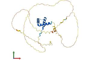 Protein Structure (PS) image for Mesenchyme Homeobox 2 (MEOX2) (AA 1-304) protein (His tag) (ABIN7549286)