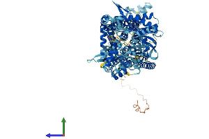 Protein Structure (PS) image for Patched Domain Containing 1 (PTCHD1) (AA 1-888) protein (His tag) (ABIN7563637)