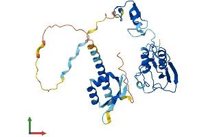 Protein Structure (PS) image for Deltex Homolog 3 (Drosophila) (DTX3) (AA 1-347) protein (His tag) (ABIN7558355)
