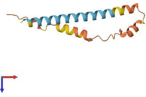 AlphaFold protein structure predicition of Mouse Recombinant Phxr4 Protein, UniprotID P15974