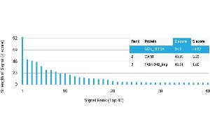 Protein Array (PAr) image for anti-H3 Histone, Family 3A (H3F3A) antibody (ABIN7456006) (Histone H3.3 抗体)