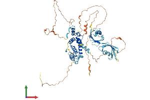 AlphaFold protein structure predicition of Human Recombinant RGS14 Protein, UniprotID O43566