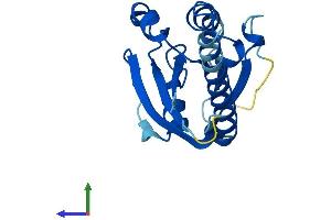 Protein Structure (PS) image for RAB, Member RAS Oncogene Family-Like 5 (RABL5) (AA 1-185) protein (His tag) (ABIN7548446)