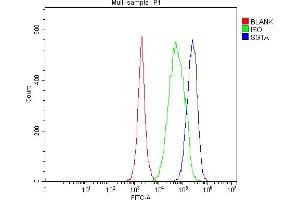 Flow Cytometry analysis of Jurkat cells using anti-SGTA antibody (ABIN7599212).