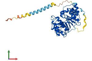 Protein Structure (PS) image for alpha 1, 4-Galactosyltransferase (A4GALT) (AA 1-353) protein (His tag) (ABIN7551782)