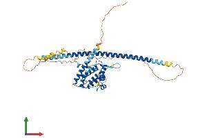 Protein Structure (PS) image for RUN Domain Containing 3B (RUNDC3B) (AA 1-408) protein (His tag) (ABIN7558043)