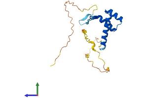 AlphaFold protein structure predicition of Human Recombinant DLX6 Protein, UniprotID P56179