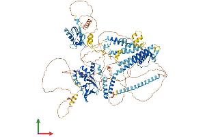 Protein Structure (PS) image for Potassium Voltage-Gated Channel, Subfamily H (Eag-Related), Member 8 (KCNH8) (AA 1-1107) protein (His tag) (ABIN7554238)
