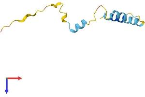 NUPR1 Protein (AA 1-82) (Fc Tag)