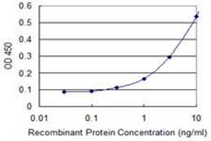 Detection limit for recombinant GST tagged DHX9 is 0. (DHX9 抗体  (AA 1-90))