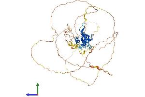 Protein Structure (PS) image for Forkhead Box D2 (FOXD2) (AA 1-495) protein (His tag) (ABIN7547828)