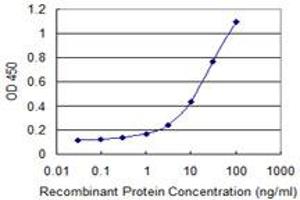 Detection limit for recombinant GST tagged HERPUD1 is 0. (HERPUD1 抗体  (AA 1-391))