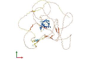 Protein Structure (PS) image for E74-Like Factor 1 (Ets Domain Transcription Factor) (ELF1) (AA 1-619) protein (His tag) (ABIN7547345)