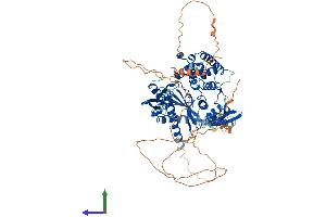 Protein Structure (PS) image for Spermatid Perinuclear RNA Binding Protein (STRBP) (AA 1-672) protein (His tag) (ABIN7546376)