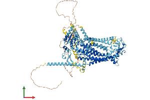 Protein Structure (PS) image for Anoctamin 1, Calcium Activated Chloride Channel (ANO1) (AA 1-986) protein (His tag) (ABIN7552156)