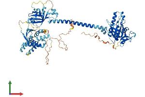AlphaFold protein structure predicition of Human Recombinant GUCY1A1 Protein, UniprotID Q02108