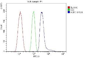 Flow Cytometry analysis of HL-60 cells using anti-IKZF2 antibody (ABIN7599427).