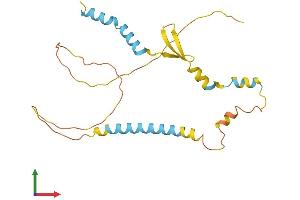Protein Structure (PS) image for ADP-Ribosylation-Like Factor 6 Interacting Protein 4 (ARL6IP4) (AA 1-229) protein (His tag) (ABIN7561697)