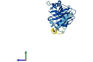 Protein Structure (PS) image for SplA/ryanodine Receptor Domain and SOCS Box Containing 4 (SPSB4) (AA 1-273) protein (His tag) (ABIN7559779)