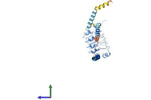 Protein Structure (PS) image for Leucine Rich Repeat Containing 59 (LRRC59) (AA 1-307) protein (His tag) (ABIN7560236)