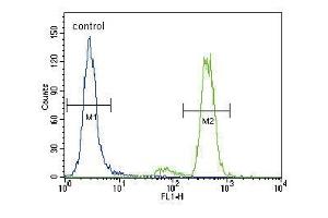PKC alpha Antibody (C-term) (ABIN391001 and ABIN2841177) flow cytometric analysis of Hela cells (right histogram) compared to a negative control cell (left histogram). (PKC alpha 抗体  (C-Term))