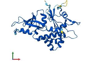 Protein Structure (PS) image for ATG5 Autophagy Related 5 (ATG5) (AA 1-275) protein (His tag) (ABIN7564876)