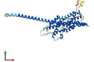 Protein Structure (PS) image for Peroxisomal Biogenesis Factor 3 (PEX3) (AA 1-372) protein (His tag) (ABIN7561768)