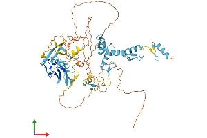 AlphaFold protein structure predicition of Mouse Recombinant Prdm14 Protein, UniprotID E9Q3T6