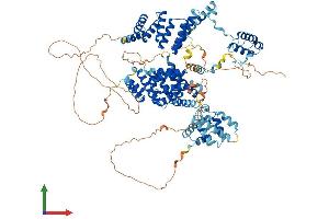 Protein Structure (PS) image for Sperm Associated Antigen 1 (SPAG1) (AA 1-901) protein (His tag) (ABIN7564309)