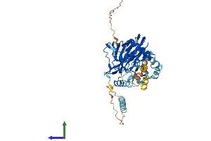 Protein Structure (PS) image for Prolyl 4-Hydroxylase, Transmembrane (Endoplasmic Reticulum) (P4HTM) (AA 1-503) protein (His tag) (ABIN7558529)