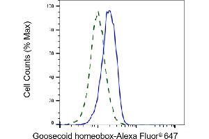 Validation of Goosecoid homeobox knockdown using flow cytometry. (Recombinant GSC 抗体)
