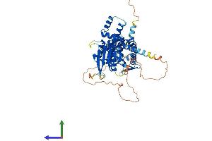 Protein Structure (PS) image for Folliculin (FLCN) (AA 1-579) protein (His tag) (ABIN7547704)