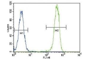 Anti-PCNA antibody flow cytometric analysis of HeLa cells (right histogram) compared to a negative control cell (left histogram). (PCNA 抗体  (AA 89-117))