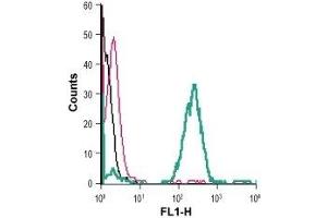 Cell surface detection of PLXNA3 in live intact human THP-1 monocytic leukemia cells: (black line) Cells. (Plexin A3 抗体  (Extracellular, N-Term))