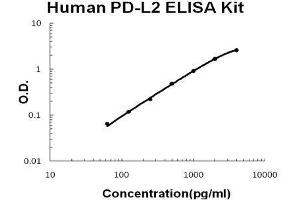 Human PD-L2/B7-DC PicoKine ELISA Kit standard curve (PDCD1LG2 ELISA 试剂盒)