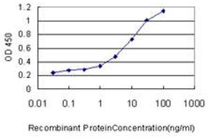 Detection limit for recombinant GST tagged PIGO is approximately 0. (PIGO 抗体  (AA 1-454))