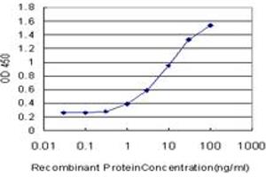 ELISA image for anti-Cytochrome P450, Family 1, Subfamily B, Polypeptide 1 (CYP1B1) (AA 453-542) antibody (ABIN560544)