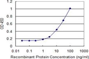 Detection limit for recombinant GST tagged MTMR1 is 0. (MTMR1 抗体  (AA 39-112))