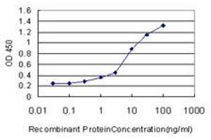 Detection limit for recombinant GST tagged PPARBP is approximately 0. (MED1 抗体  (AA 1391-1490))