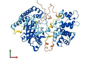 Protein Structure (PS) image for Lysophosphatidylcholine Acyltransferase 1 (LPCAT1) (AA 1-534) protein (His tag) (ABIN7554886)