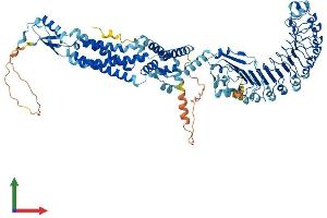 AlphaFold protein structure predicition of Human Recombinant LRRC8C Protein, UniprotID Q8TDW0