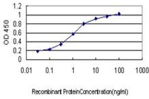 Detection limit for recombinant GST tagged NDST1 is approximately 0. (NDST1 抗体  (AA 38-136))