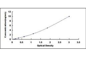 Typical standard curve (CDK1 ELISA 试剂盒)