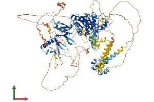 Protein Structure (PS) image for SEC23 Interacting Protein (SEC23IP) (AA 1-1000) protein (His tag) (ABIN7555365)