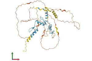 Protein Structure (PS) image for Sp5 Transcription Factor (SP5) (AA 1-398) protein (His tag) (ABIN7561524)