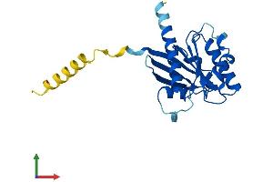 Protein Structure (PS) image for ADP-Ribosylation Factor-Like 15 (ARL15) (AA 1-204) protein (His tag) (ABIN7558576)