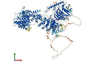 Protein Structure (PS) image for Regulatory Associated Protein of mTOR, Complex 1 (RPTOR) (AA 1-1335) protein (His tag) (ABIN7564678)