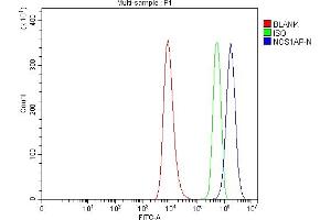 Flow Cytometry analysis of HEL cells using anti-CAPON/NOS1AP antibody (ABIN7600833). (NOS1AP 抗体  (AA 24-438))