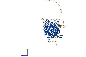 Protein Structure (PS) image for CDC-Like Kinase 2 (CLK2) (AA 1-499) protein (His tag) (ABIN7553501)