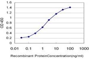 Detection limit for recombinant GST tagged SH2B is approximately 0. (SH2B1 抗体  (AA 327-426))